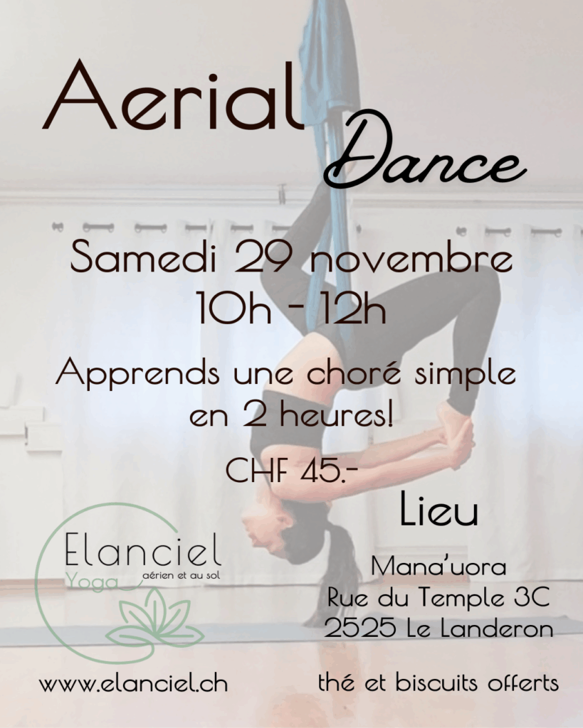 Aerial yoga dance le Landeron