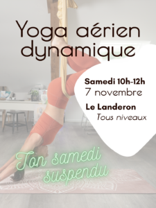 samedi 7 novembre yoga aérien Le Landeron